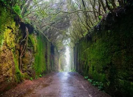 Beachfront 아파트 Radazul