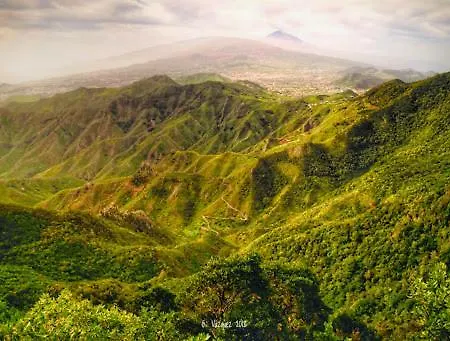 Beachfront 아파트