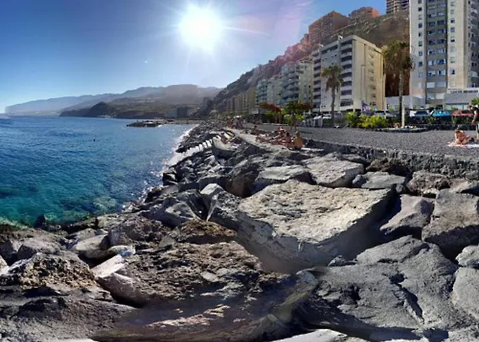 Beachfront Lejlighed *