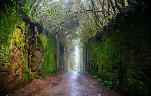 Beachfront 公寓 Radazul