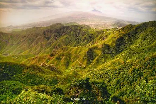 Beachfront Lejlighed